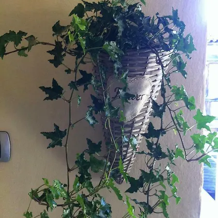 In Centro Storico * アスティ